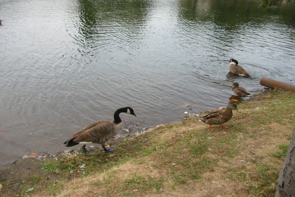 ../image/joan's reunion,nj,vermont 9,2005 053.jpg